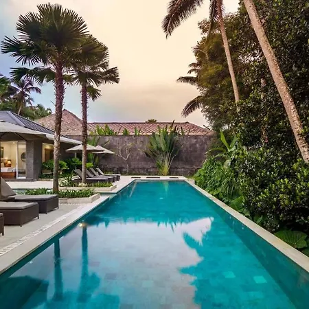 Ubud Exotic 6 Bedroom Villa Coconut Trees Cyn